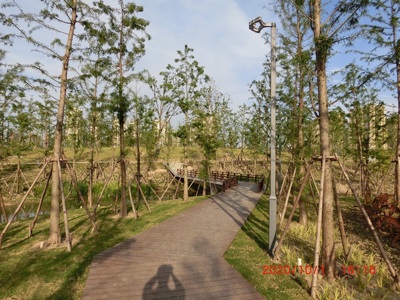 盐龙体育公园木屋景观灯